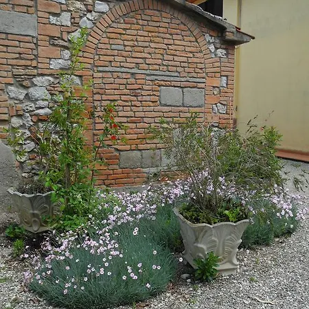 Podere Oslavia Az.agr.bio Giannini