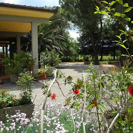 Podere Oslavia Az.agr.bio Giannini Alberese