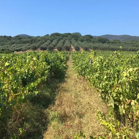 Podere Oslavia Az.agr.bio Giannini Farm stay