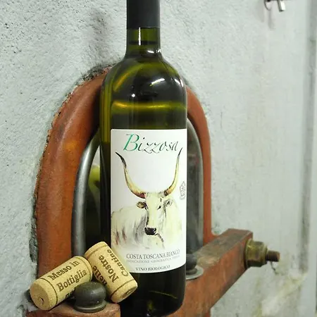 Podere Oslavia Az.agr.bio Giannini אלברזה