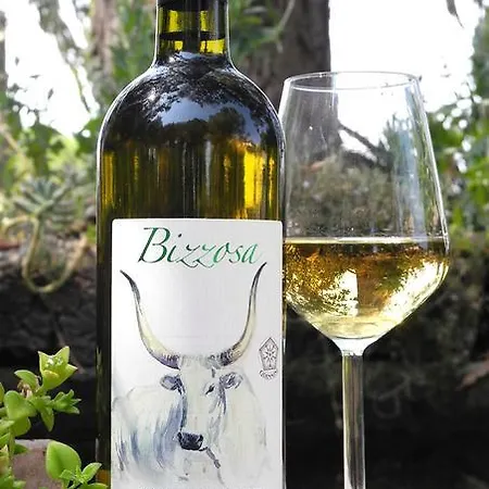 בית חווה Podere Oslavia Az.agr.bio Giannini