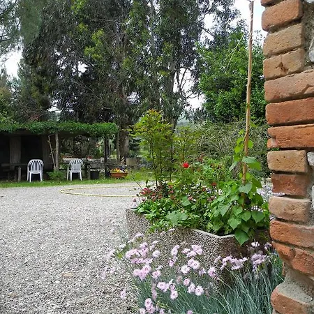 Podere Oslavia Az.agr.bio Giannini