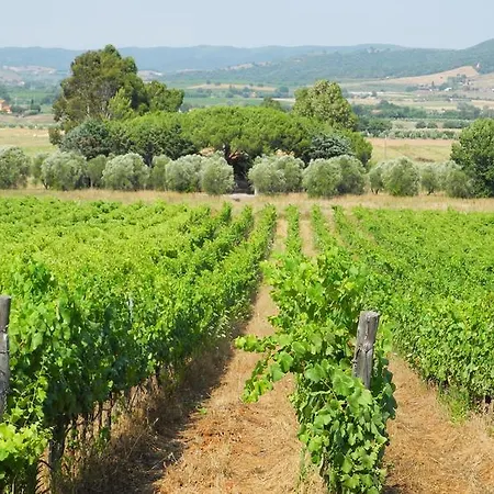 בית חווה Podere Oslavia Az.agr.bio Giannini