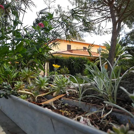 בית חווה Podere Oslavia Az.agr.bio Giannini *