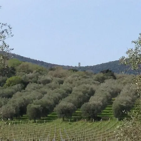 Podere Oslavia Az.agr.bio Giannini בית חווה